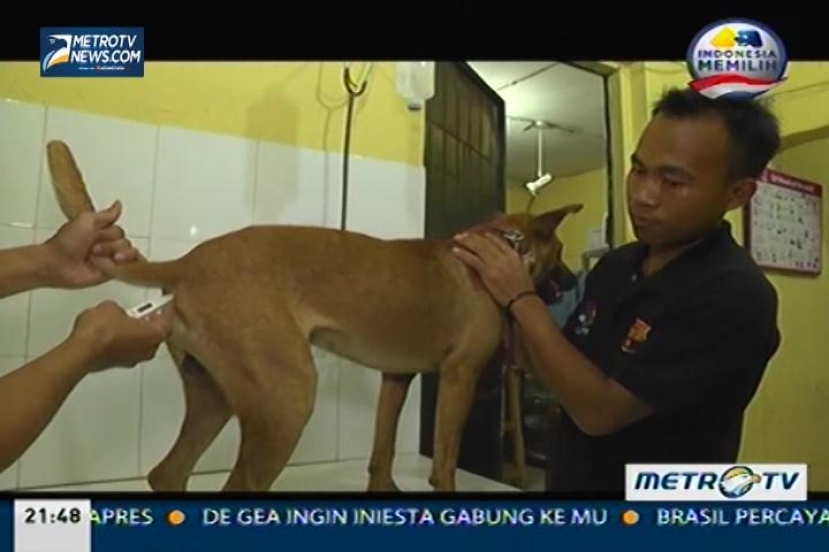 Eagle Documentary Series: Laskar Pemburu (2)  