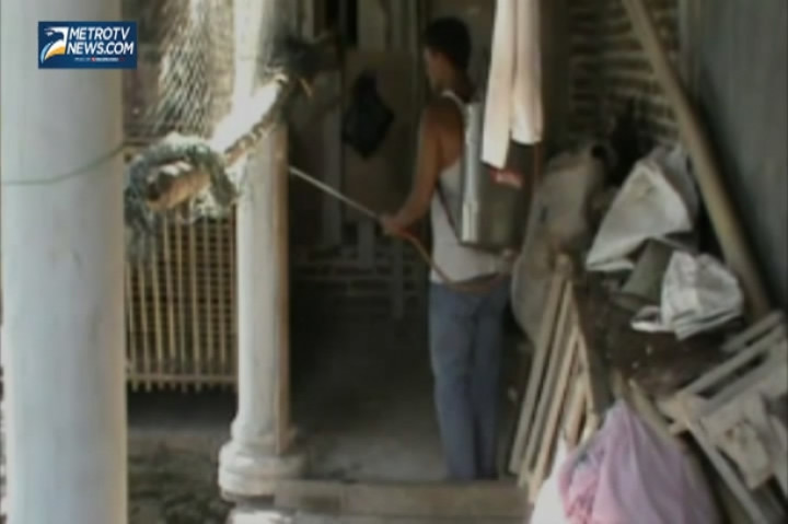 Flu Burung Serang Ternak Unggas di Ponorogo