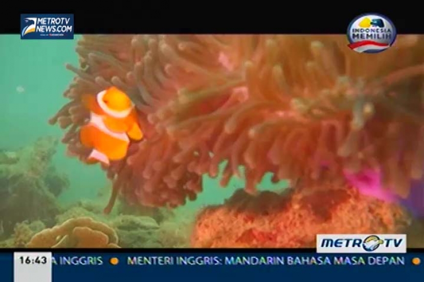 Tepi Pantai Kondang di Mata Sang Garuda (2)