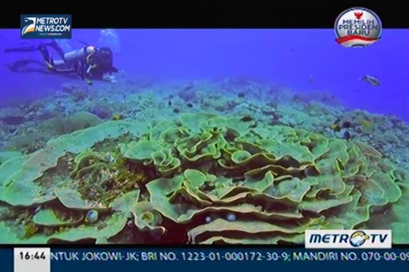 Menebar Asa di Tepian Wakatobi (2)