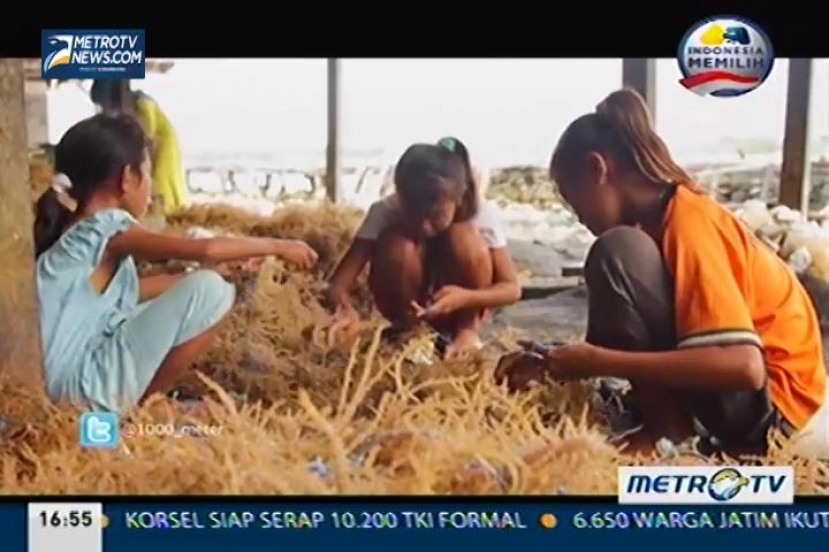 Menebar Asa di Tepian Wakatobi (3)