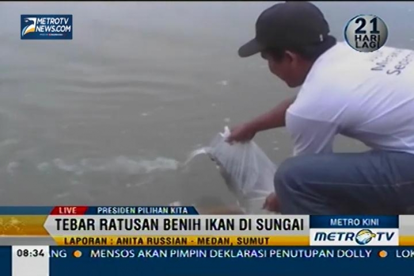 Relawan Jokowi-JK di Medan Tebar Benih Ikan ke Sungai Wampu