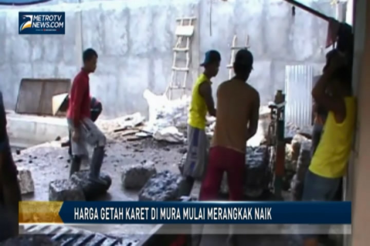 Harga Getah Karet di Mura Mulai Merangkak Naik