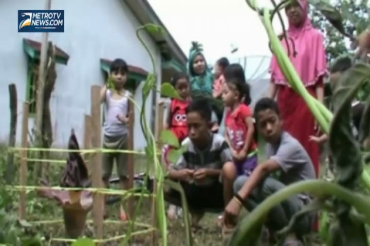 Warga Lubuklinggau Temukan Bunga Bangkai