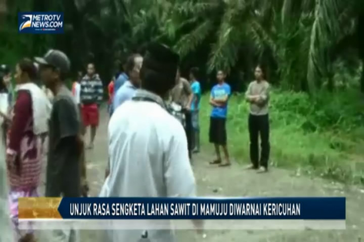 Unjuk Rasa Sengketa Lahan Sawit di Mamuju Diwarnai Kericuhan