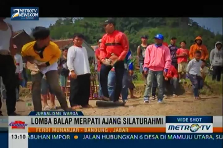 Lomba Balap Merpati