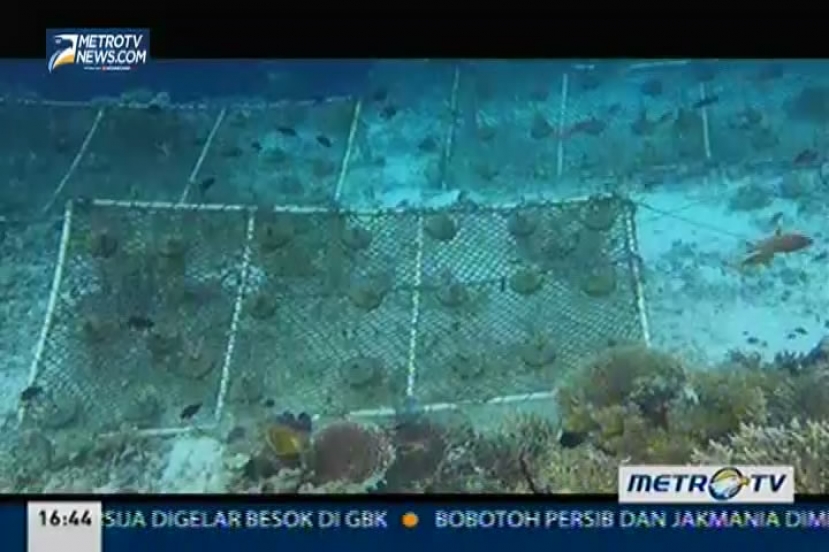 Pulau Harapan diseberang Tanah Manise (2)