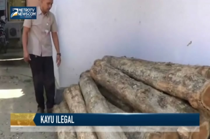 Polisi Hutan Amankan Mobil Bermuatan Kayu Ilegal