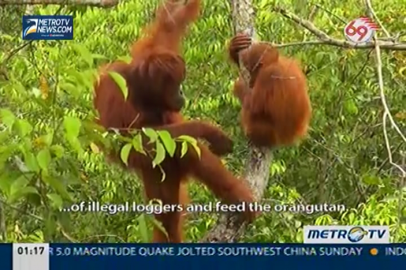 Indonesia Now Special Destination, August 18, 2014 (2)