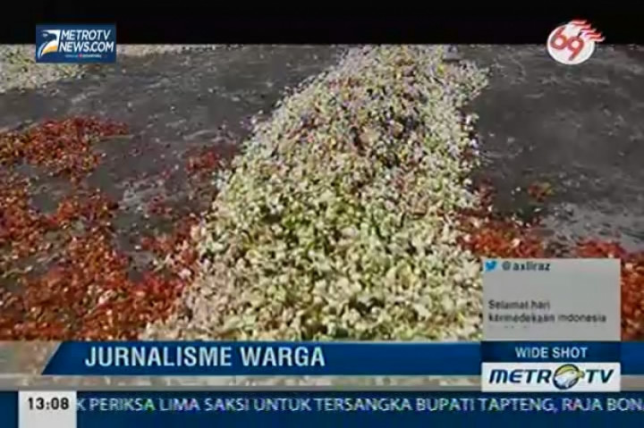 Mengolah Limbah Pabrik Teh Jadi Obat Nyamuk