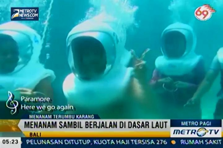 Menanam Terumbu Karang