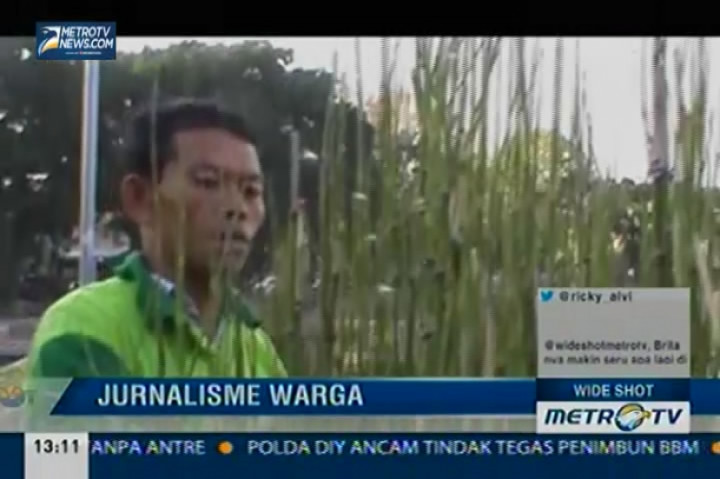 Pegawai Taman Honorer