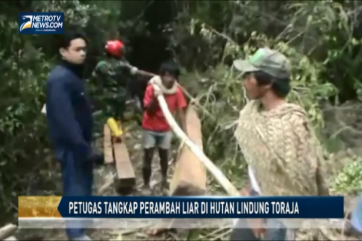 Petugas Tangkap Perambah Liar di Hutan Lindung Toraja