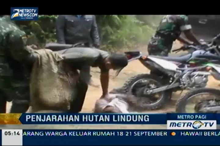 Polisi Kehutanan dan Anggota TNI Tangkap Perambah Liar Hutan Lindung