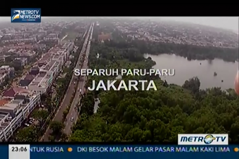 Separuh Paru-Paru Jakarta (1)