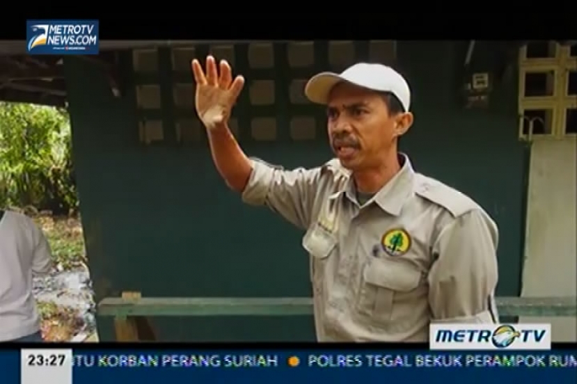 Separuh Paru-Paru Jakarta (3)