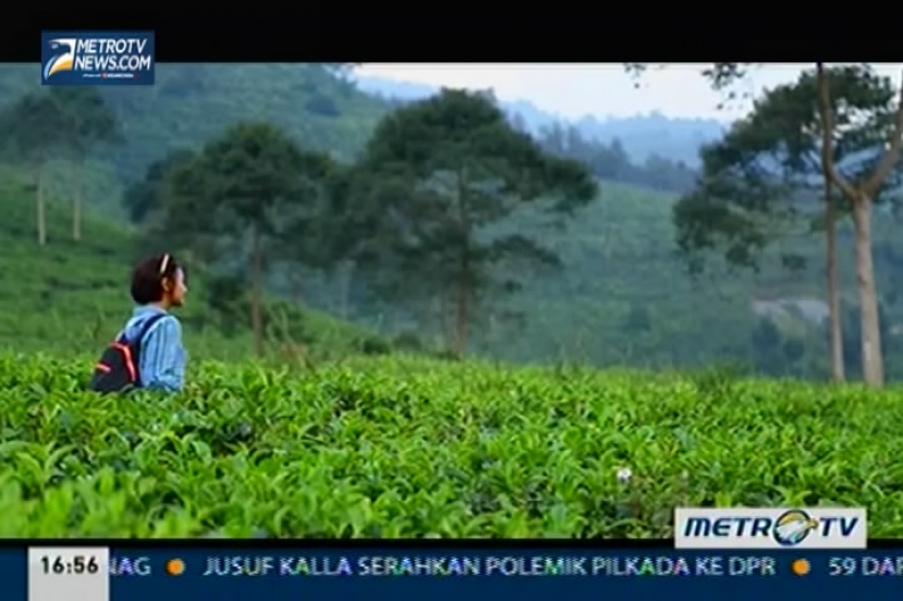 Melayang di Atas Kemuning (3)