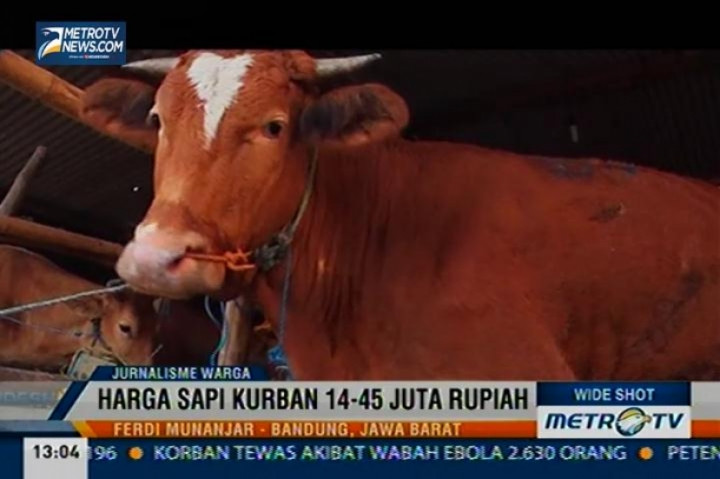 Penjual Sapi Kurban di Cinagreg