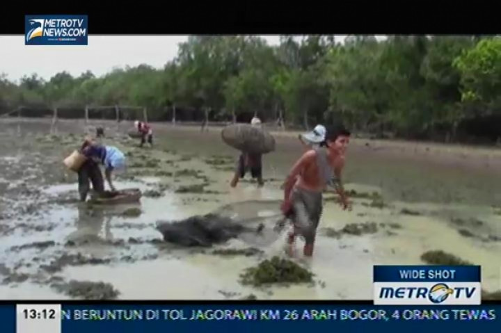 Air Danau Menyusut, Berkah Bagi Warga