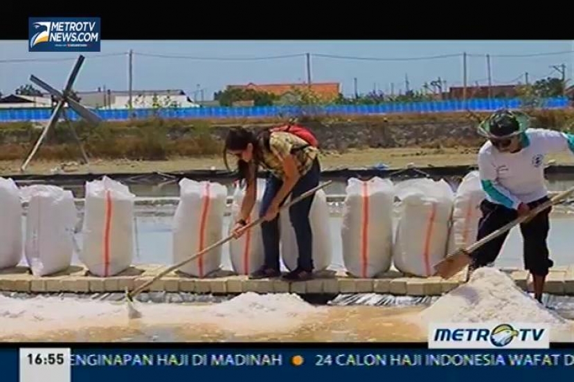 Mencari Garam untuk Negeri (3)