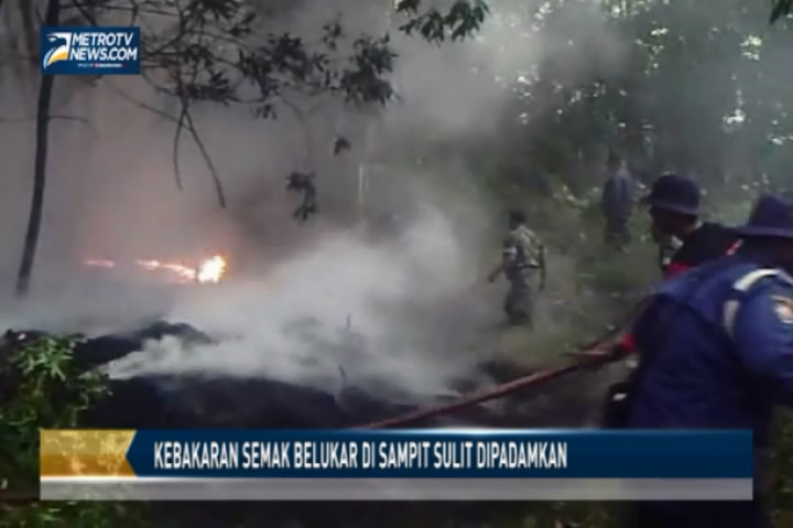 Kebakaran Semak Belukar di Sampit Sulit Dipadamkan