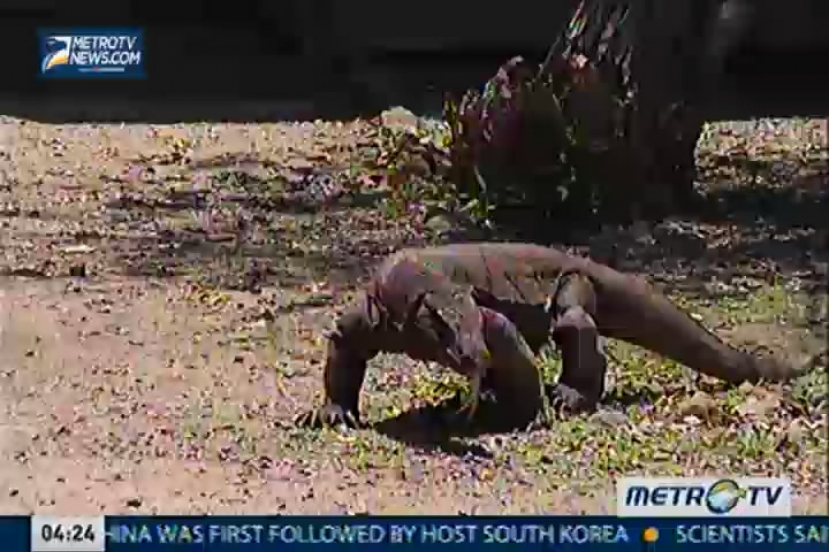 Indonesia Now, October 5, 2014 (2)