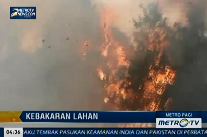Kebakaran Lahan Gambut Terjadi di Jalan Trans Kalimantan
