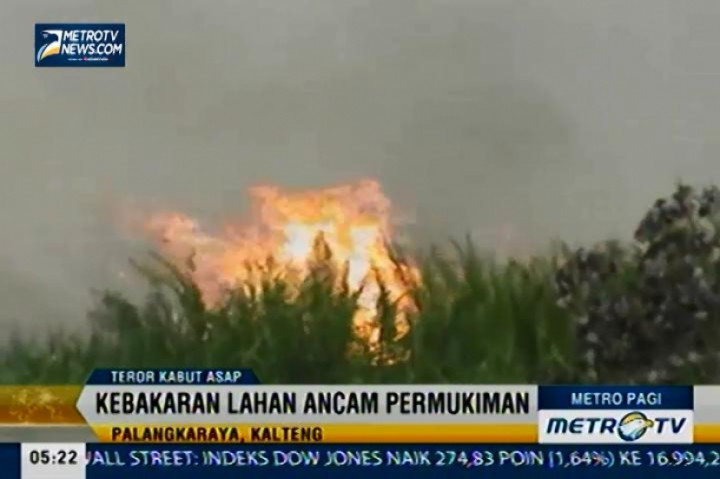 Kebakaran Lahan Ganggu Sejumlah Wilayah di Kalimantan