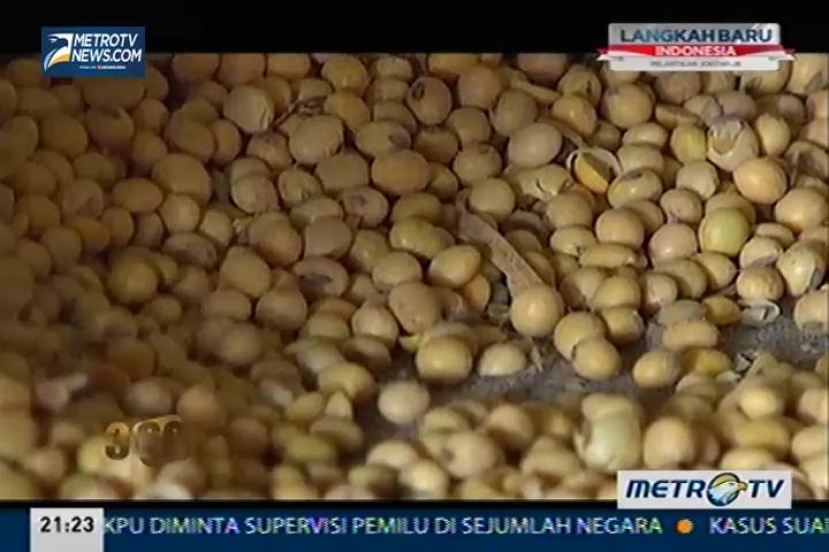 360: Kedelai Impor Kualitas Setara Pakan Ternak