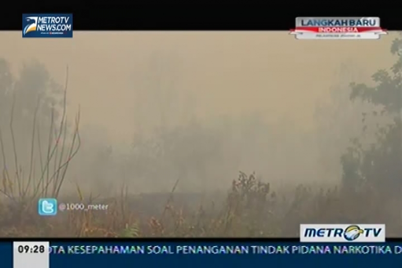  1000 Meter: Menyingkap Kabut Asap di Tanah Borneo (3)