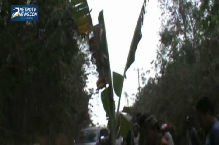 Pengerjaan Jalan Di Stop Warga Tanam Pohon Pisang