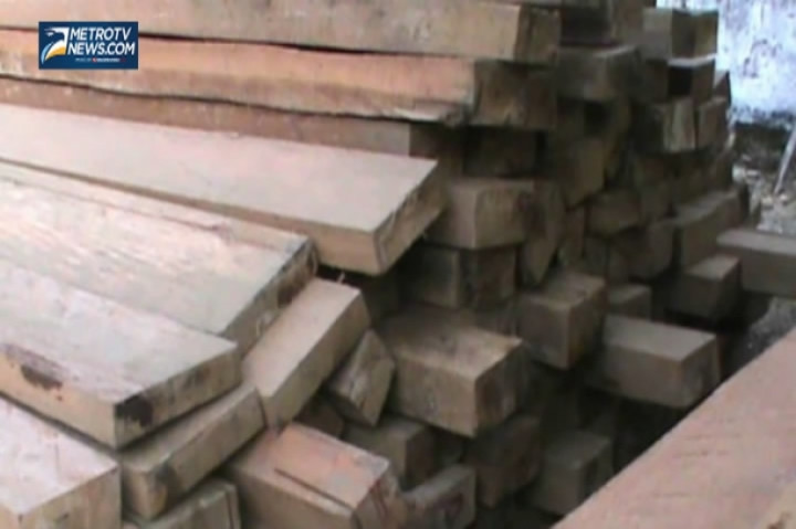 Ratusan Batang Kayu Ilegal Disita dari Hutan TNBB