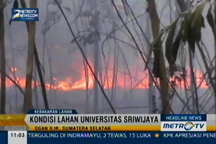 Kebakaran Lahan Merembet ke Lahan Universitas Sriwijaya