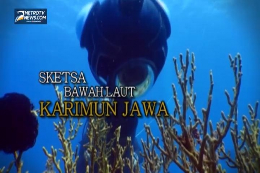 Sketsa Bawah Laut Karimun Jawa