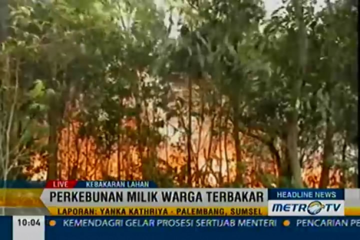 Lahan Gambut di Ogan Ilir Terbakar 