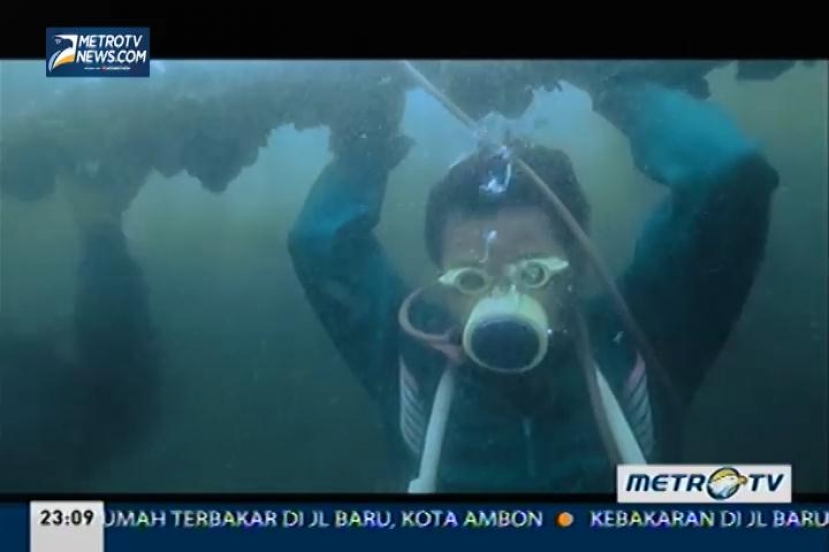 Eagle Documentary Series: Pencari Kerang Cilik (1)