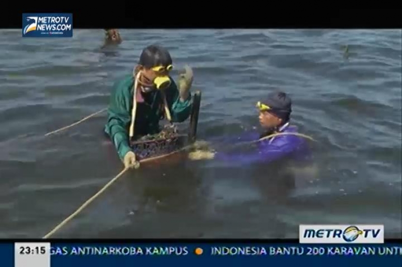 Eagle Documentary Series: Pencari Kerang Cilik (2)