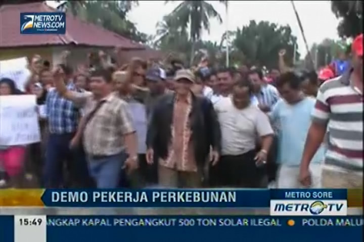 Pekerja Perkebunan Langkat Mogok Kerja