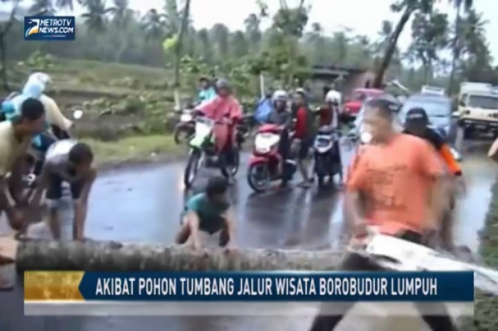 Akibat Pohon Tumbang Jalur Wisata Borobudur Lumpuh