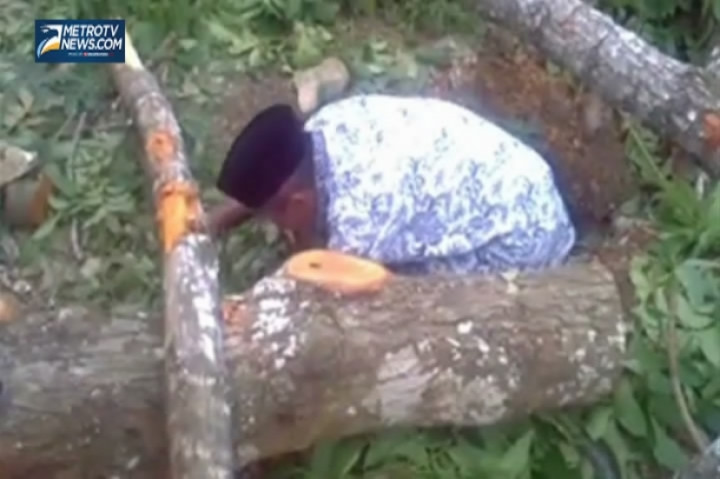Kuli Panggul Kayu Tewas Tertimpa Pohon