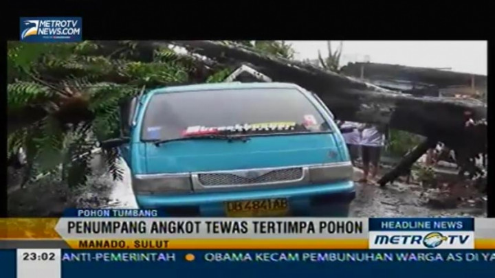 Seorang Penumpang Angkot di Manado Tewas Tertimpa Pohon