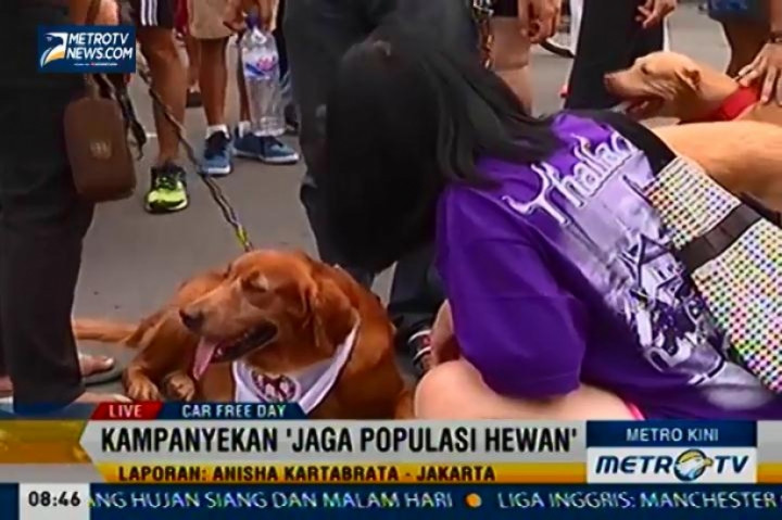 Suasan Car Free Day Hari ini