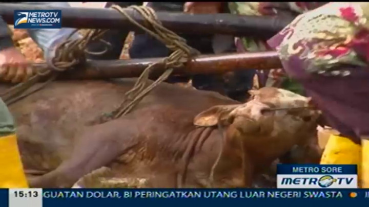 Longsor Banjarnegara, Hewan Ternak Tak Luput Dievakuasi