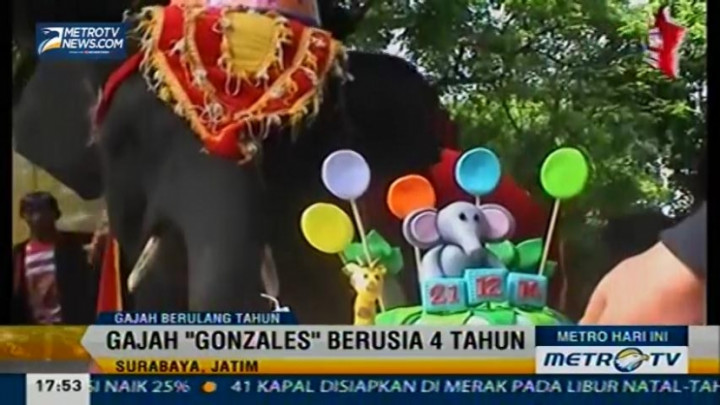 Rayakan Ultah, 'Gonzales' Hibur Pengunjung dengan Tarian