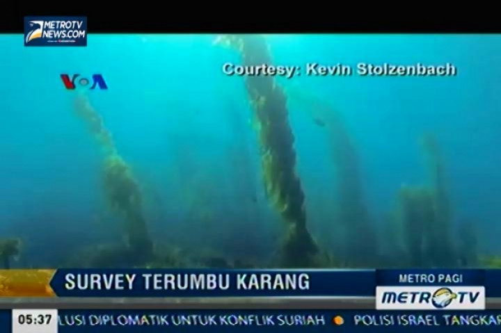 Survey Terumbu Karang