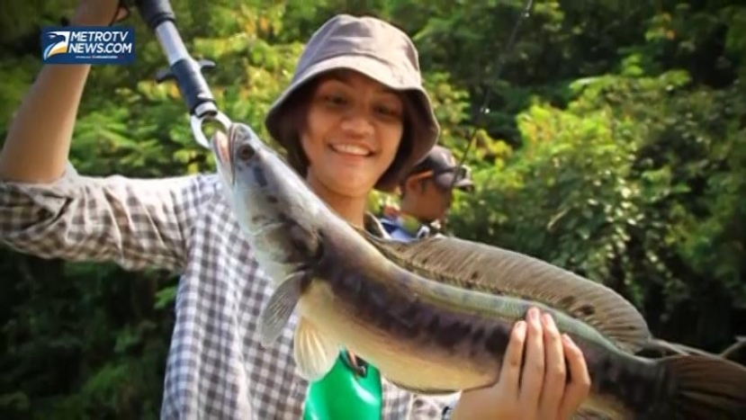 1000 Meter: Menjelajah Bendungan, Memburu Toman 