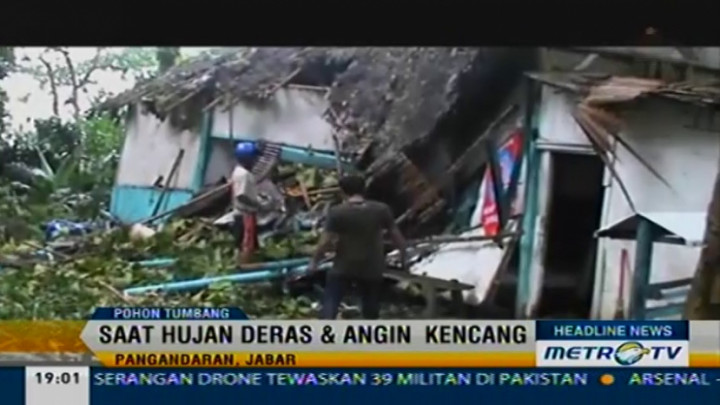 Pohon Tumbang Timpa Mobil Bak, Satu Tewas