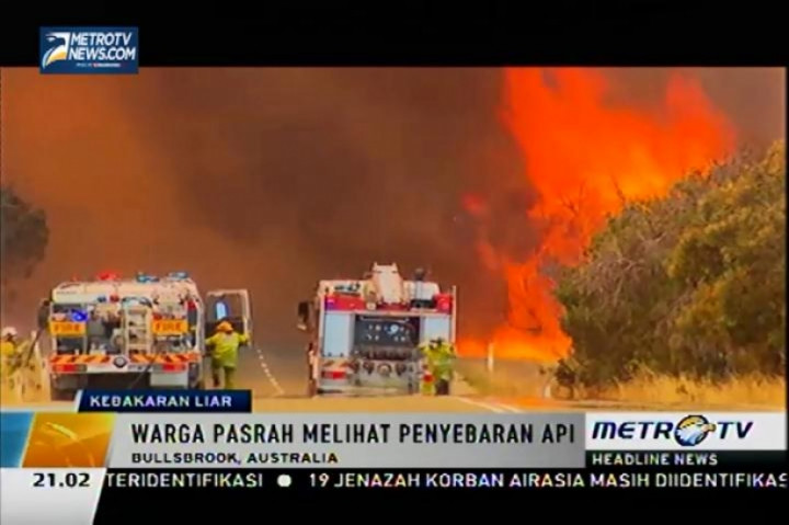 Pemadam Kebakaran Kewalahan Memadamkan Kebakaran Lahan