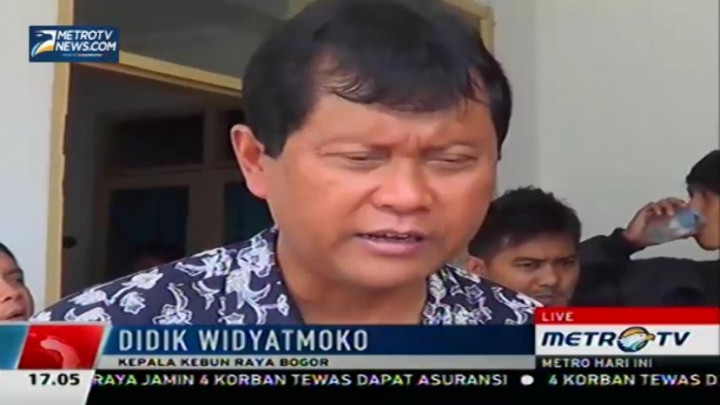 Pihak Kebun Raya akan Berikan Santunan untuk Korban Pohon Tumbang 