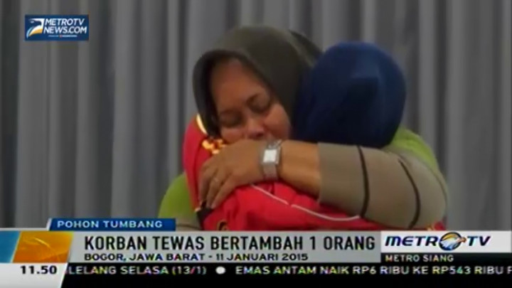 Korban Tewas Akibat Pohon Tumbang Bertambah Jadi 5 Orang